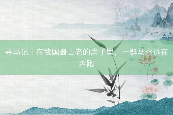 寻马记｜在我国最古老的房子里，一群马永远在奔跑