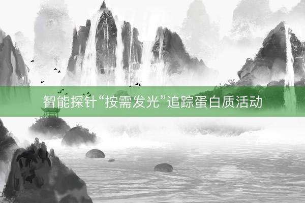 智能探针“按需发光”追踪蛋白质活动