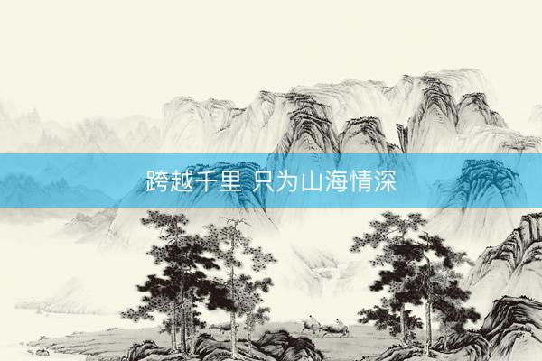 跨越千里 只为山海情深