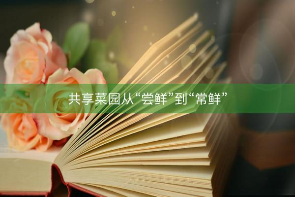 共享菜园从“尝鲜”到“常鲜”