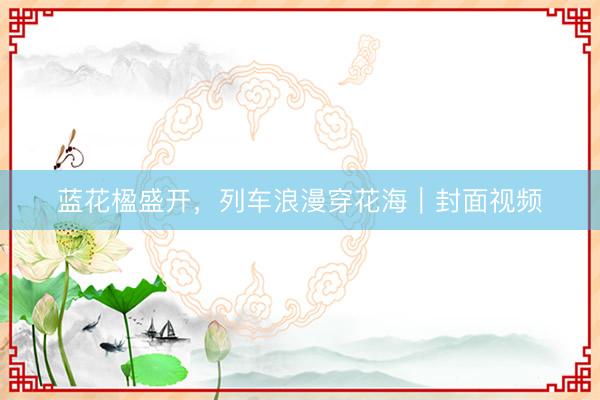 蓝花楹盛开，列车浪漫穿花海｜封面视频