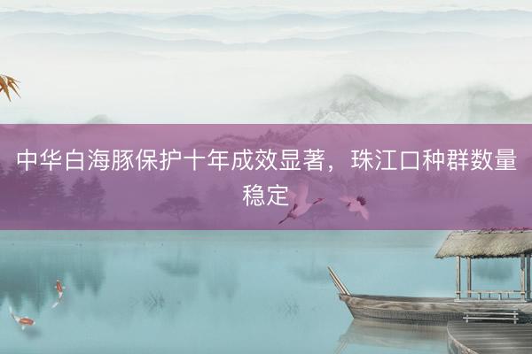 中华白海豚保护十年成效显著，珠江口种群数量稳定