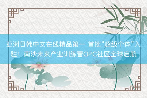 亚洲日韩中文在线精品第一 首批“超级个体”入驻！南沙未来产业训练营OPC社区全球启航