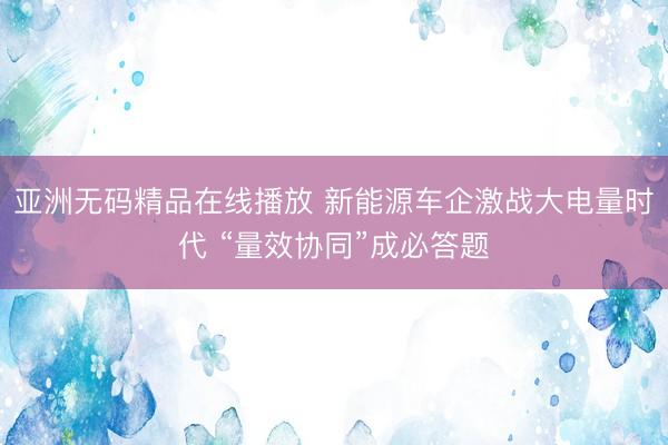 亚洲无码精品在线播放 新能源车企激战大电量时代 “量效协同”成必答题
