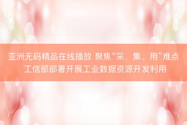 亚洲无码精品在线播放 聚焦“采、集、用”难点 工信部部署开展工业数据资源开发利用