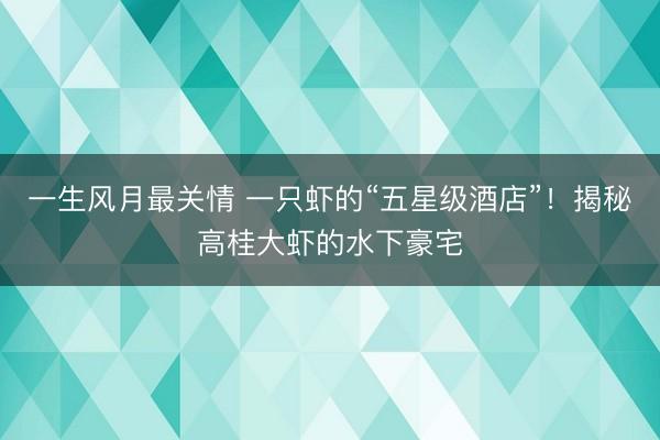 一生风月最关情 一只虾的“五星级酒店”！揭秘高桂大虾的水下豪宅