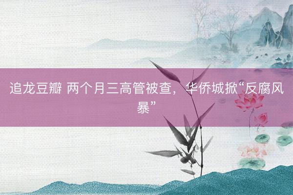 追龙豆瓣 两个月三高管被查，华侨城掀“反腐风暴”