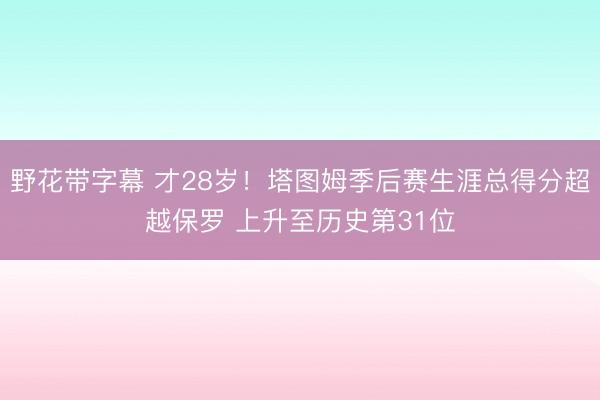 野花带字幕 才28岁！塔图姆季后赛生涯总得分超越保罗 上升至历史第31位
