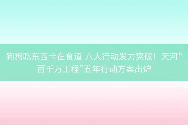 狗狗吃东西卡在食道 六大行动发力突破！天河“百千万工程”五年行动方案出炉