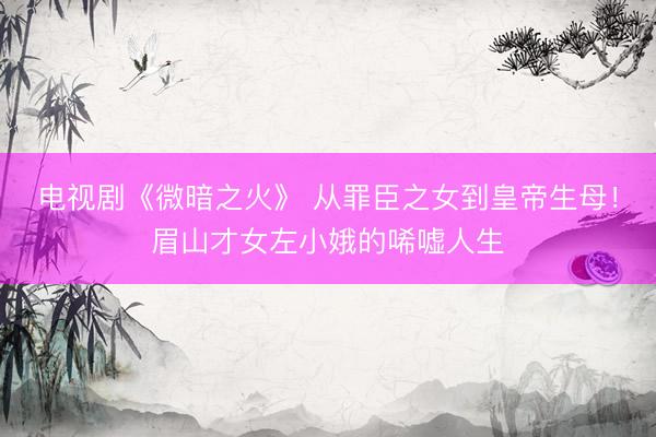 电视剧《微暗之火》 从罪臣之女到皇帝生母！眉山才女左小娥的唏嘘人生