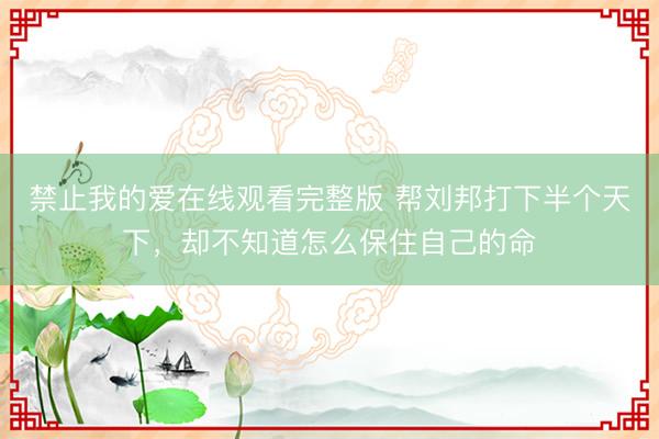 禁止我的爱在线观看完整版 帮刘邦打下半个天下，却不知道怎么保住自己的命