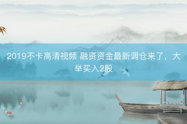 2019不卡高清视频 融资资金最新调仓来了，大举买入2股