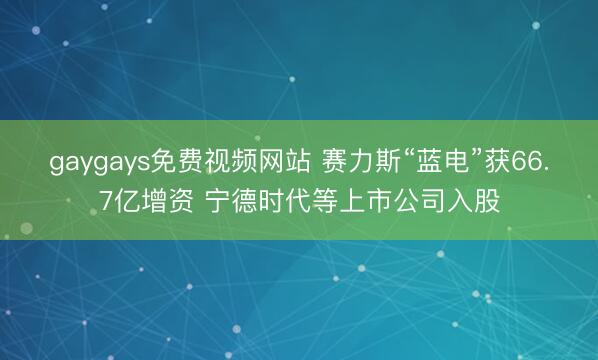 gaygays免费视频网站 赛力斯“蓝电”获66.7亿增资 宁德时代等上市公司入股