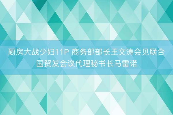 厨房大战少妇11P 商务部部长王文涛会见联合国贸发会议代理秘书长马雷诺
