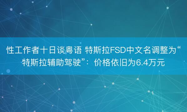 性工作者十日谈粤语 特斯拉FSD中文名调整为“特斯拉辅助驾驶”:价格依旧为6.4万元