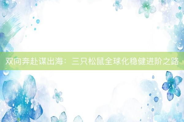双向奔赴谋出海：三只松鼠全球化稳健进阶之路