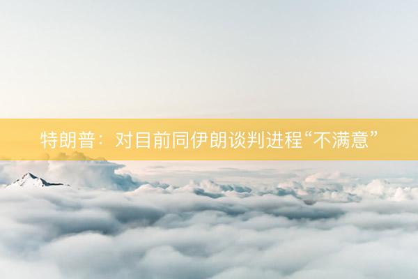 特朗普：对目前同伊朗谈判进程“不满意”