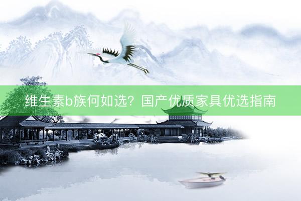 维生素b族何如选？国产优质家具优选指南
