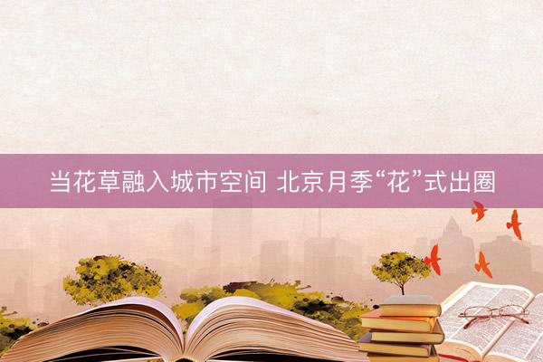 当花草融入城市空间 北京月季“花”式出圈