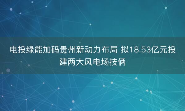 电投绿能加码贵州新动力布局 拟18.53亿元投建两大风电场技俩