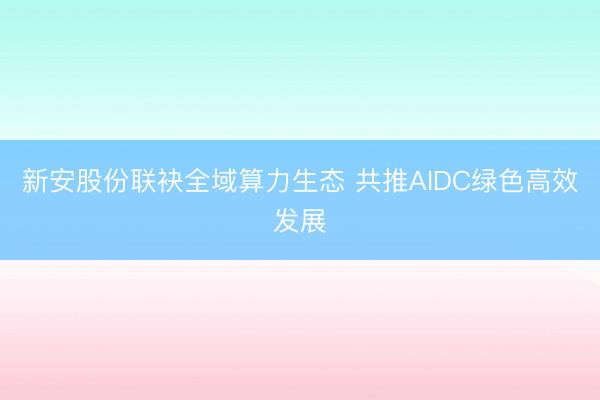 新安股份联袂全域算力生态 共推AIDC绿色高效发展