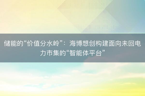 储能的“价值分水岭”：海博想创构建面向未回电力市集的“智能体平台”
