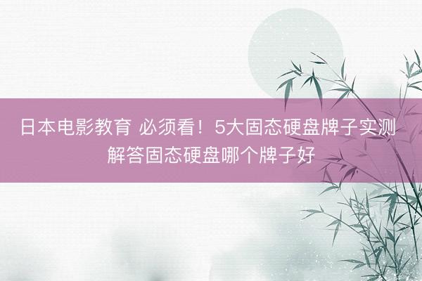 日本电影教育 必须看！5大固态硬盘牌子实测 解答固态硬盘哪个牌子好