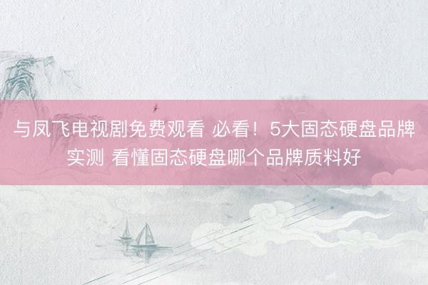 与凤飞电视剧免费观看 必看！5大固态硬盘品牌实测 看懂固态硬盘哪个品牌质料好