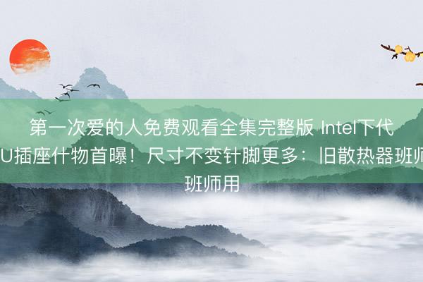 第一次爱的人免费观看全集完整版 Intel下代CPU插座什物首曝！尺寸不变针脚更多：旧散热器班师用