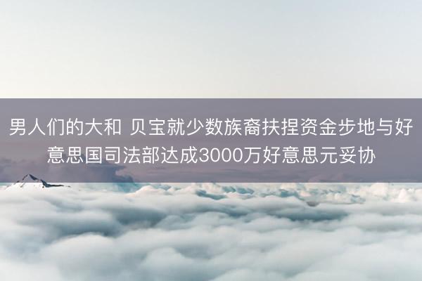 男人们的大和 贝宝就少数族裔扶捏资金步地与好意思国司法部达成3000万好意思元妥协