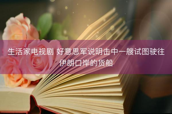 生活家电视剧 好意思军说明击中一艘试图驶往伊朗口岸的货船