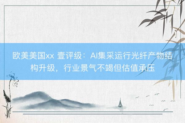 欧美美国xx 壹评级：AI集采运行光纤产物结构升级，行业景气不竭但估值承压