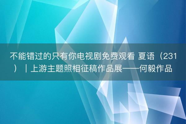 不能错过的只有你电视剧免费观看 夏语（231）｜上游主题照相征稿作品展——何毅作品