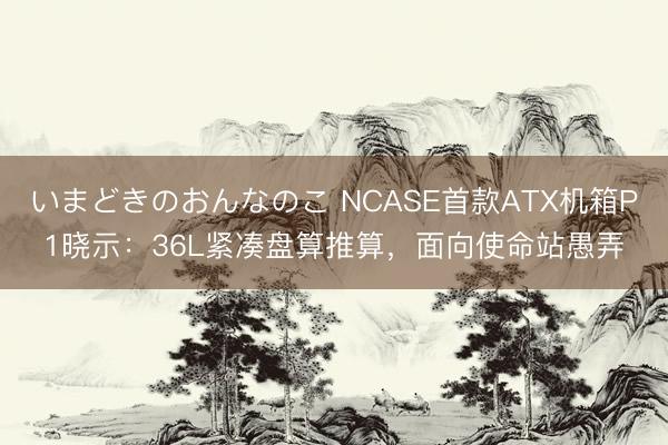 いまどきのおんなのこ NCASE首款ATX机箱P1晓示：36L紧凑盘算推算，面向使命站愚弄