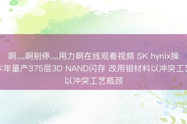 啊灬啊别停灬用力啊在线观看视频 SK hynix操办在本年量产375层3D NAND闪存 改用钼材料以冲突工艺瓶颈