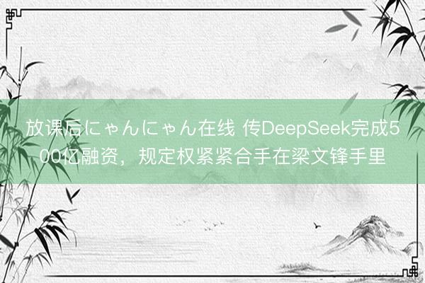 放课后にゃんにゃん在线 传DeepSeek完成500亿融资,规定权紧紧合手在梁文锋手里