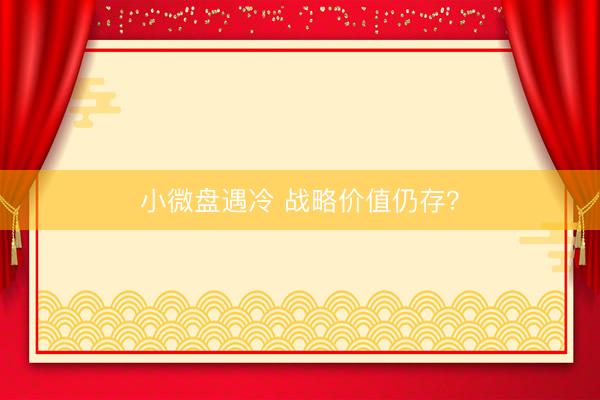 小微盘遇冷 战略价值仍存？