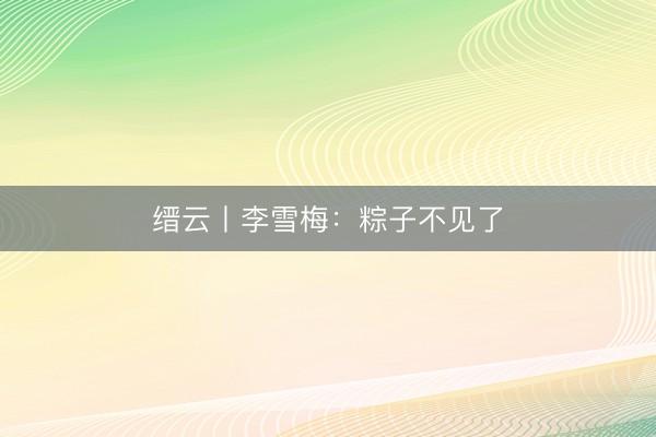 缙云丨李雪梅：粽子不见了
