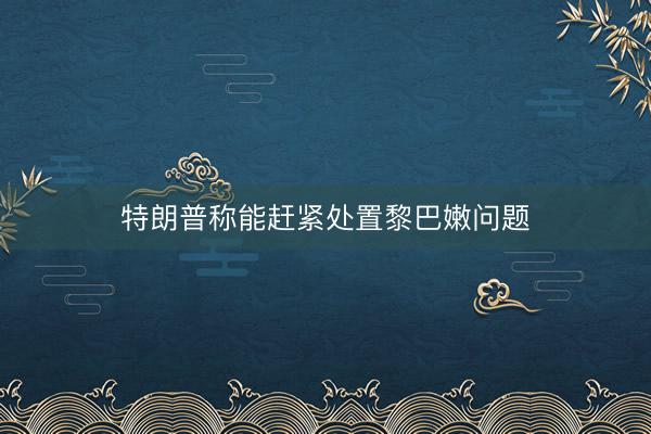 特朗普称能赶紧处置黎巴嫩问题